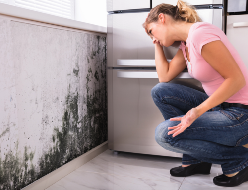 Trusted Mold Remediation From the Experts in Alpharetta