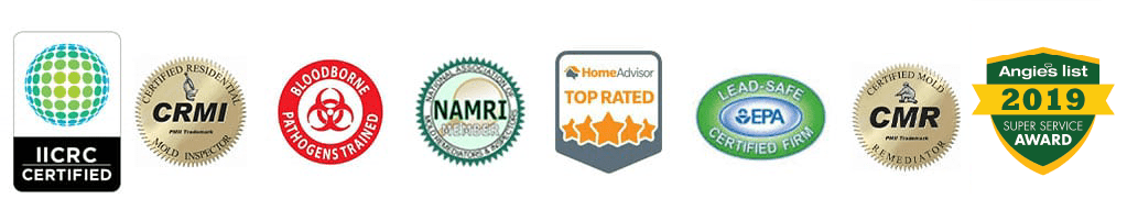 Pure One Certifications including Bloodborne Pathogens Trained, Certified Mold Remediator, Home Advisor Top Rated, Angie's List Super Service Award, and Certified Residential Mold Inspector
