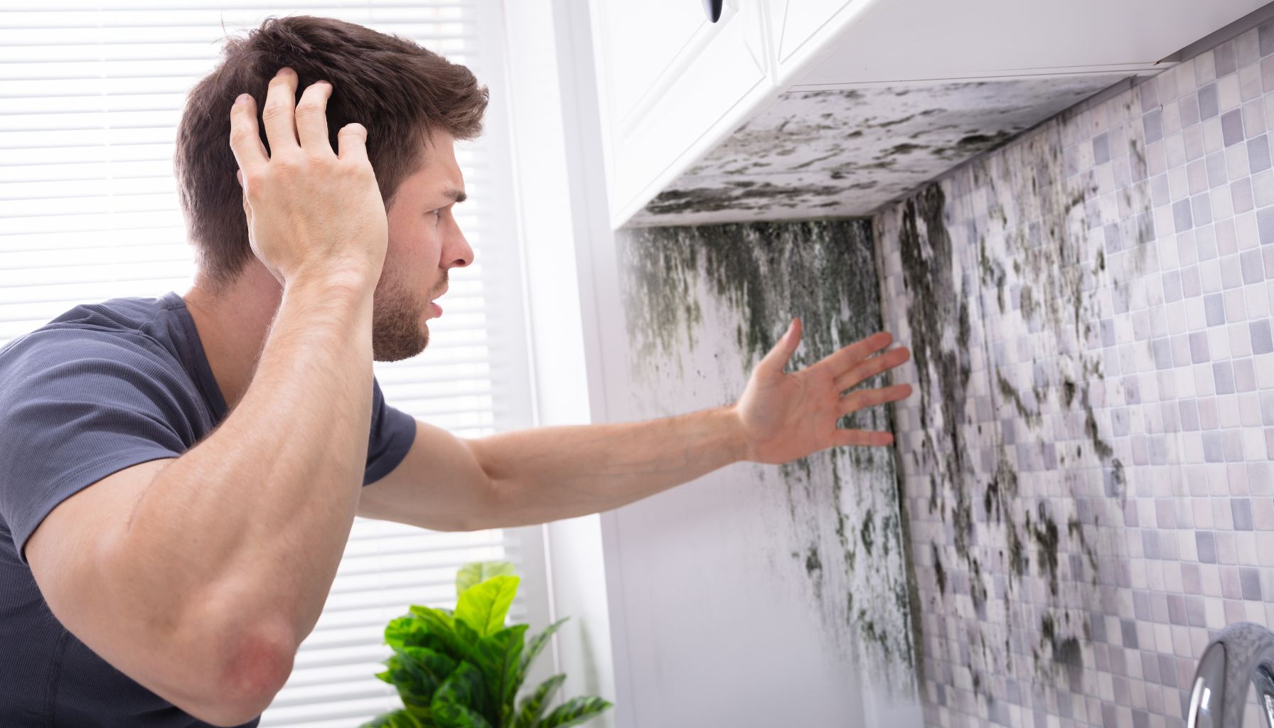 A man looks at a large patch of mold on a kitchen wall, touching his head in apparent frustration or concern. The overwhelming need for water damage restoration is evident, making the situation even more disheartening. -PureOneServices