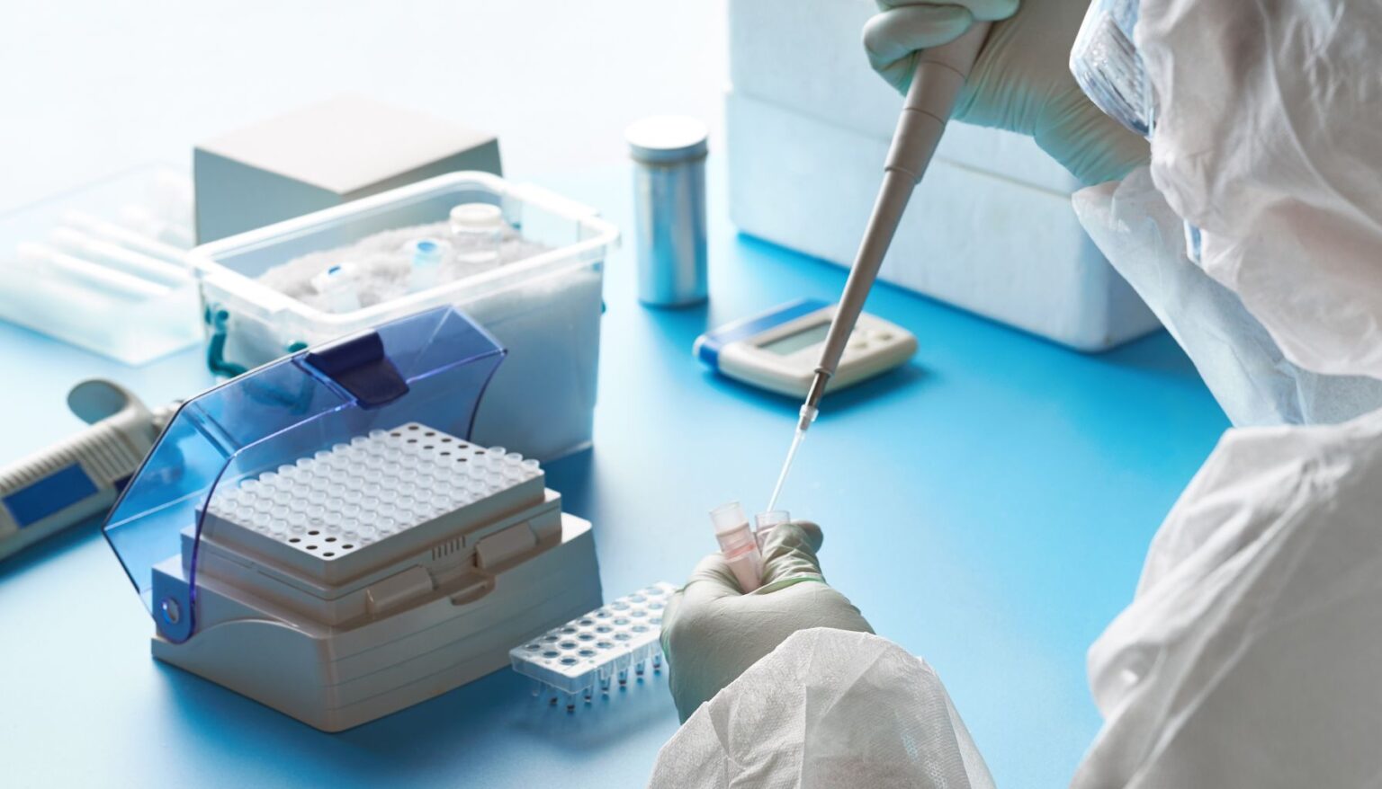 Lab Analysis Mold Essential Tools and Equipment for Mold Remediation Professionals