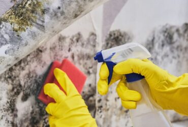 Hands in yellow gloves performing mold restoration on a wall with a red sponge and spray bottle. -PureOneServices