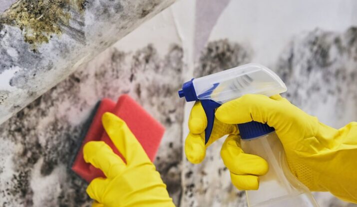 Hands in yellow gloves performing mold restoration on a wall with a red sponge and spray bottle. -PureOneServices