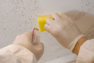 Person wearing gloves and protective clothing cleaning a moldy wall with a sponge and a cleaning agent, focusing on mold restoration techniques to ensure thorough water damage restoration. -PureOneServices