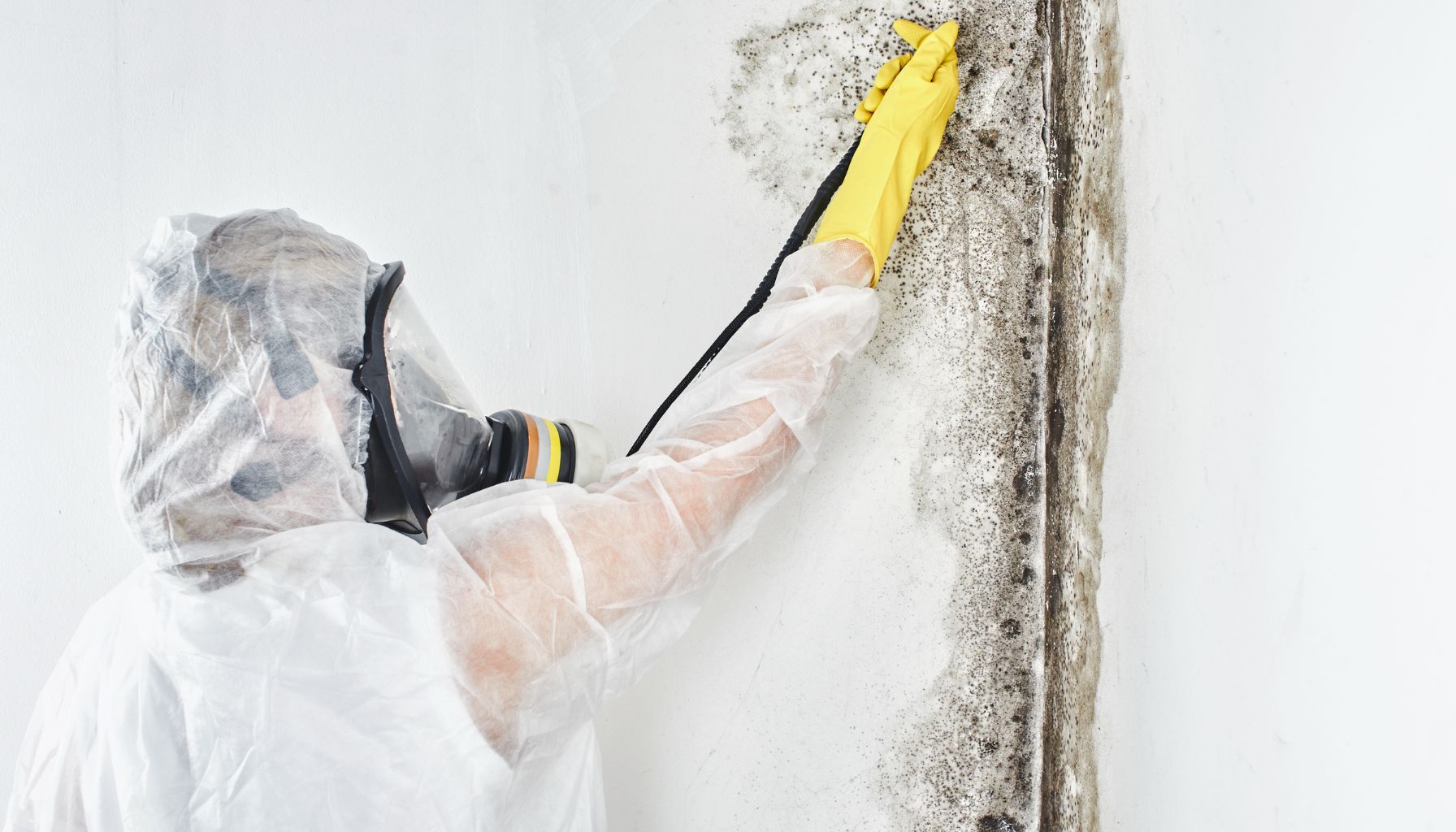 A person in protective gear and a respirator is performing mold restoration by carefully cleaning mold from a wall with a sponge. -PureOneServices