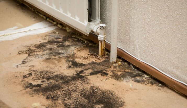 A rusty pipe under a radiator is leaking onto a damaged floor, leading to mold and discoloration. Immediate water damage restoration is crucial to prevent further deterioration, including mold restoration to ensure safety and cleanliness. -PureOneServices