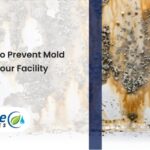 Five Ways to Prevent Mold Growth in Your Facility