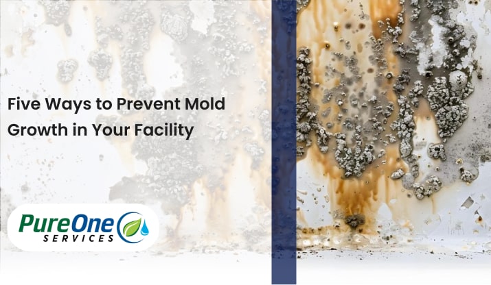 Five Ways to Prevent Mold Growth in Your Facility