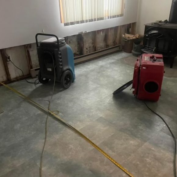 Mold Remediation Service After