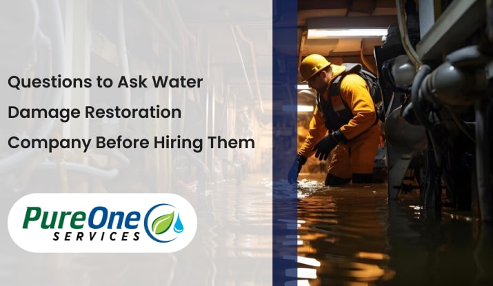 Questions to Ask Water Damage Restoration Company Before Hiring Them