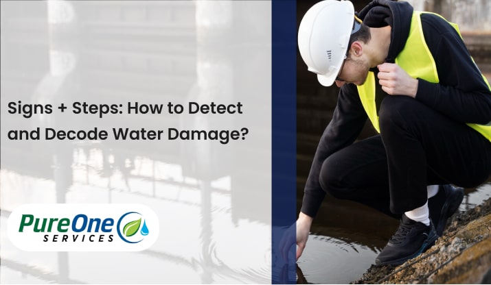 Signs + Steps: How to Detect and Decode Water Damage?