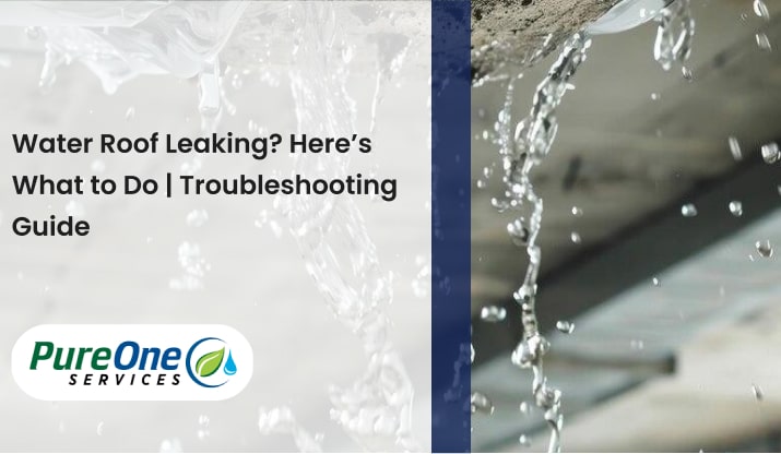 Water Roof Leaking? Here’s What to Do | Troubleshooting Guide