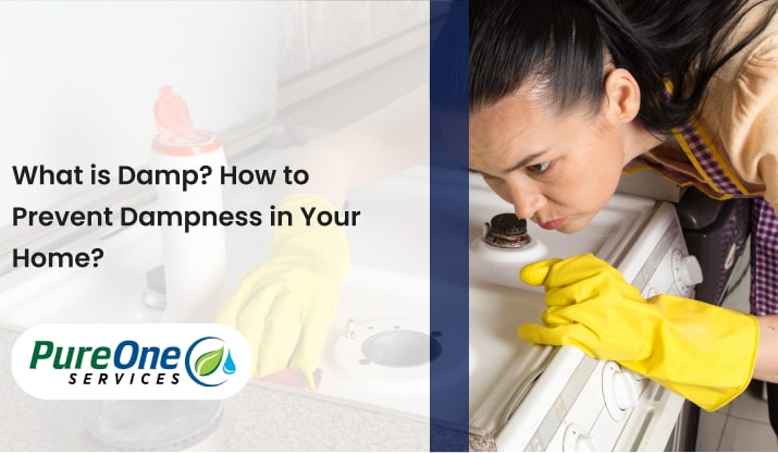 What is Damp? How to Prevent Dampness in Your Home?