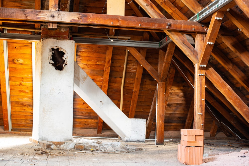 attic mold remediation minneapolis