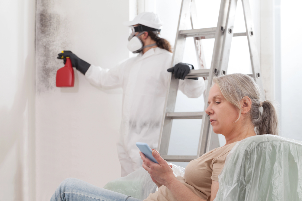 mold remediation pricing minneapolis