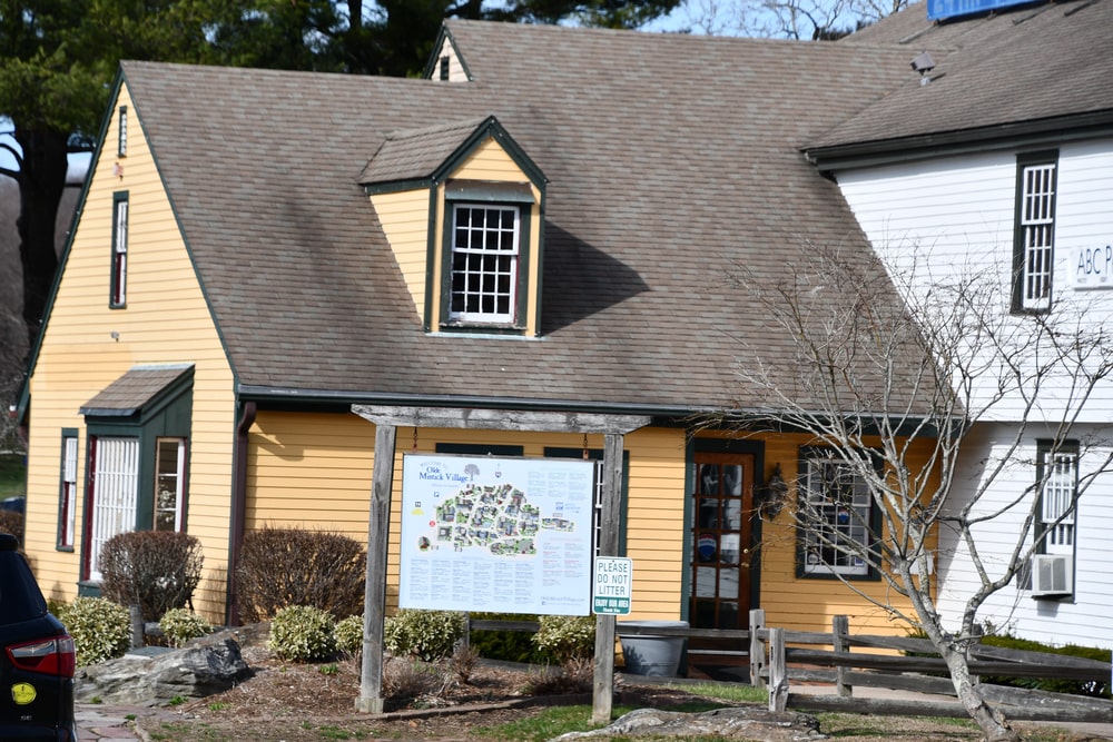 historic homes mold remediation near me