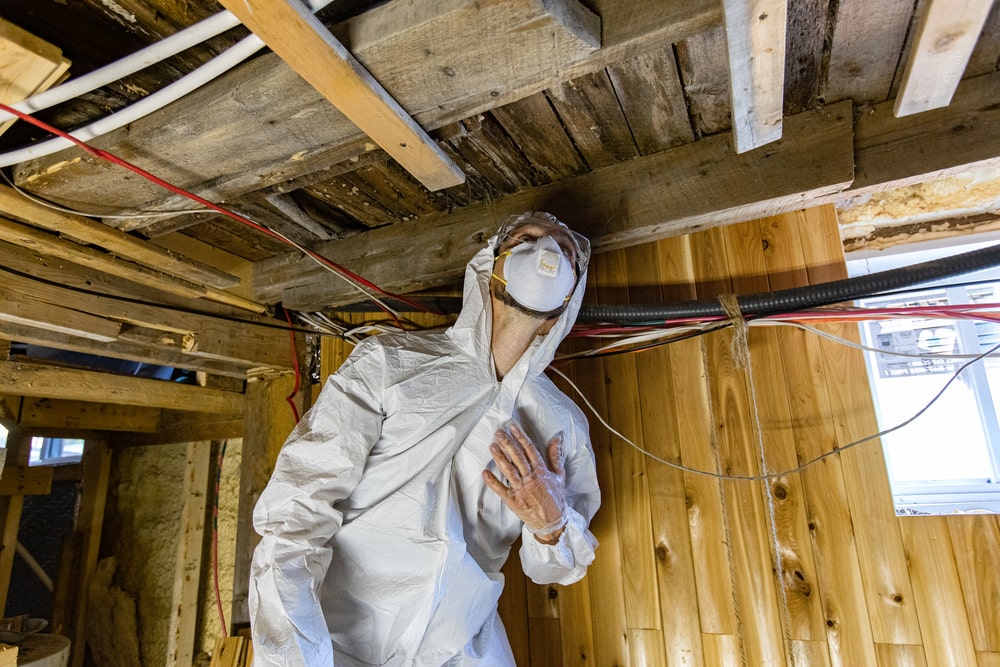 mold inspection in connecticut near me